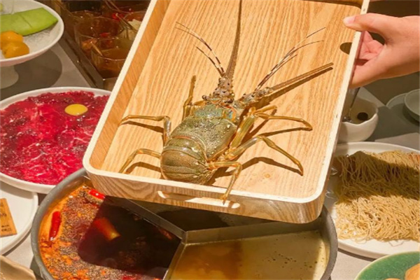 平记牛肉火锅加盟