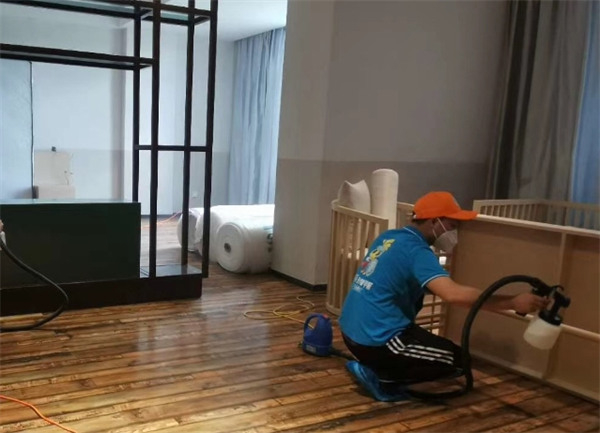 清新全家除甲醛