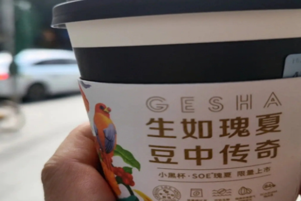 瑰夏咖啡加盟