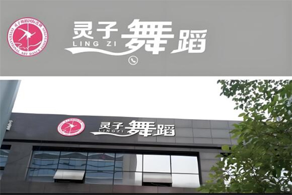 灵子舞蹈国际