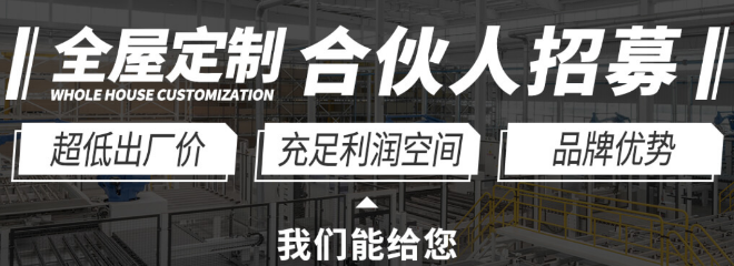 鲁丽家居全屋定制