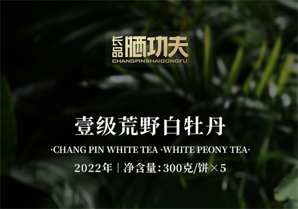 长品白茶