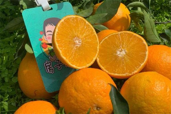 房子优果水果