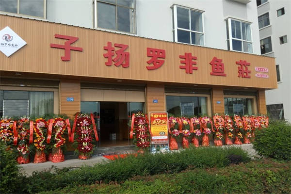 子扬罗非鱼庄