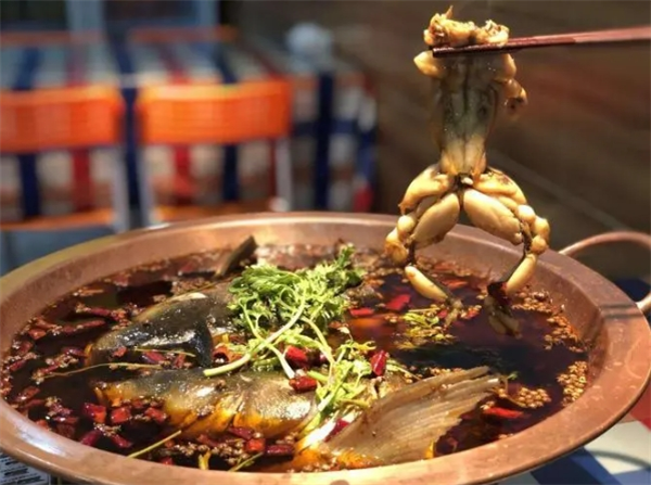大众美蛙鱼头