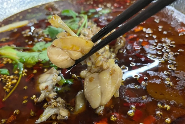大众美蛙鱼头