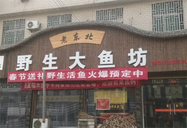 东北野生大鱼坊