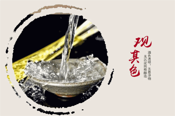 酱多宝白酒加盟