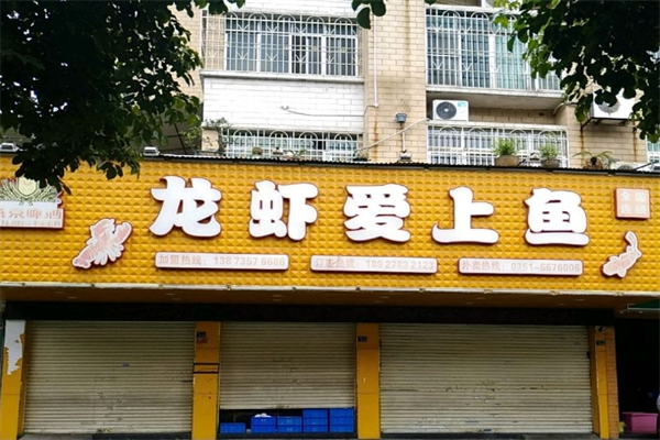 龙虾爱上鱼