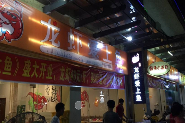 龙虾爱上鱼