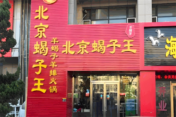 北京蝎子王羊蝎子