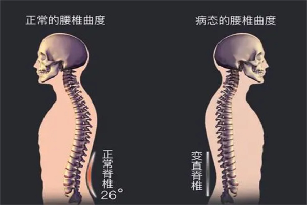 高医堂颈椎腰椎