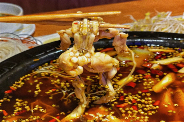 蛙先生鱼小姐