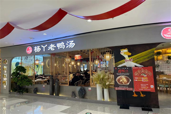 杨丫老鸭汤