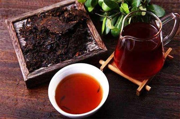 易元昌普洱茶