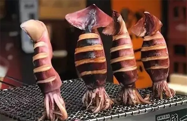 大脸鱿鱼