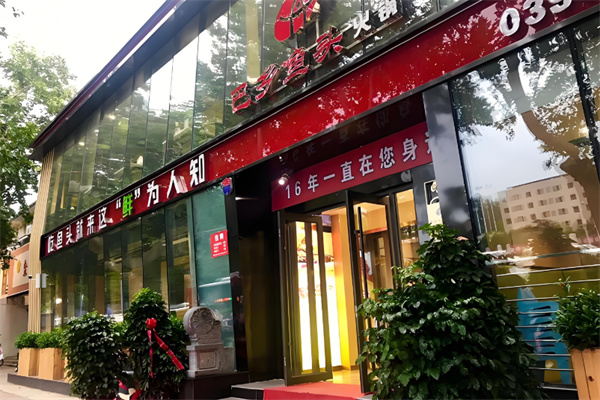 巴乡鱼头火锅店