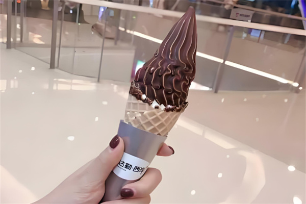 达勒西岸冰淇淋加盟