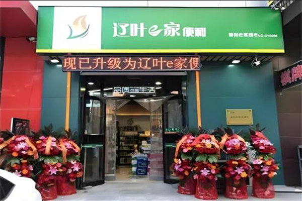 辽叶e家终端店