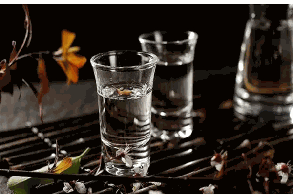 天池王白酒加盟