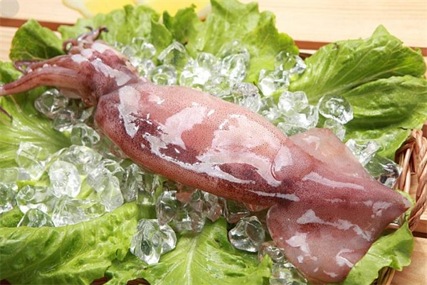 阿宝鱿鱼