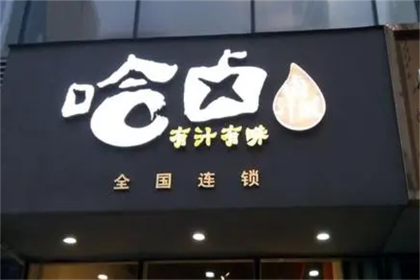 哈卤卤肉饭