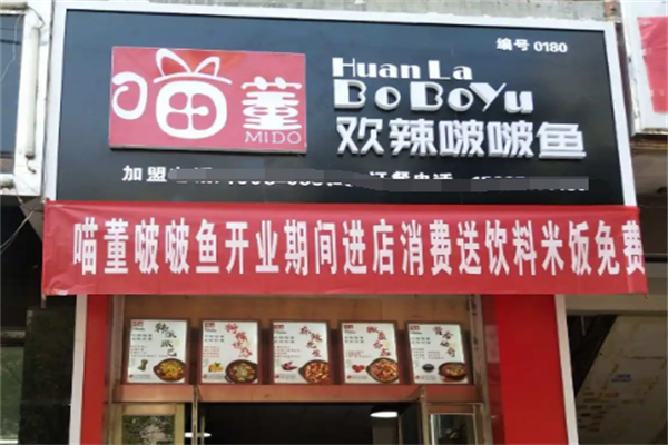 喵董啵啵鱼