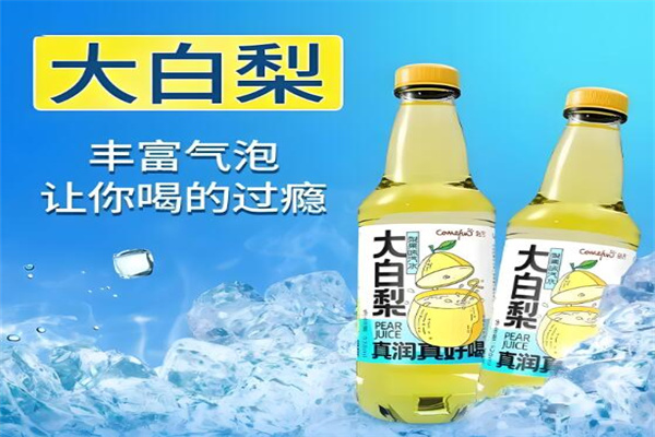 大白梨汽水厂家
