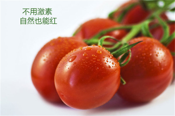 菜多多配送