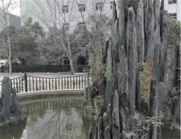 志美教育