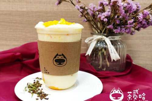 茶贰哈
