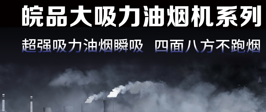 皖品电器