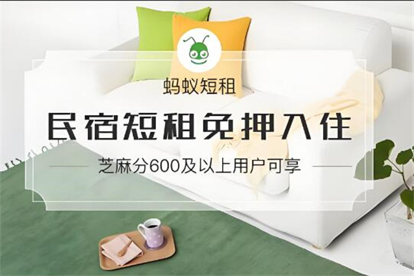 蚂蚁短租加盟