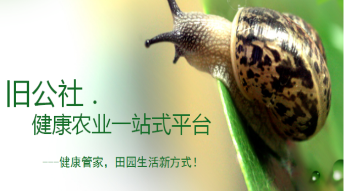 旧公社生鲜