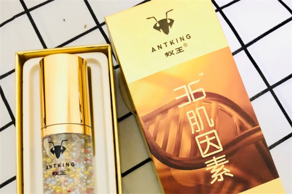 蚁王肌因素