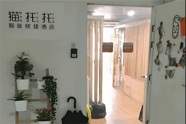 猫托托猫咪酒店