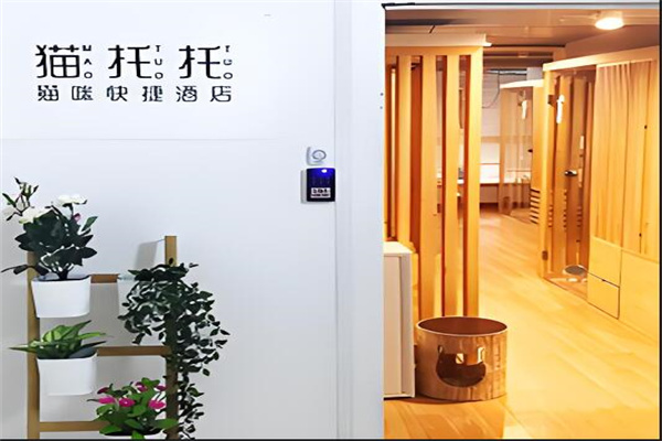 猫托托猫咪酒店