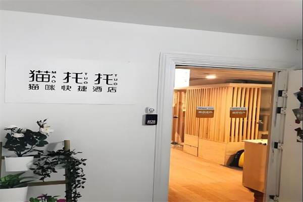 猫托托猫咪酒店
