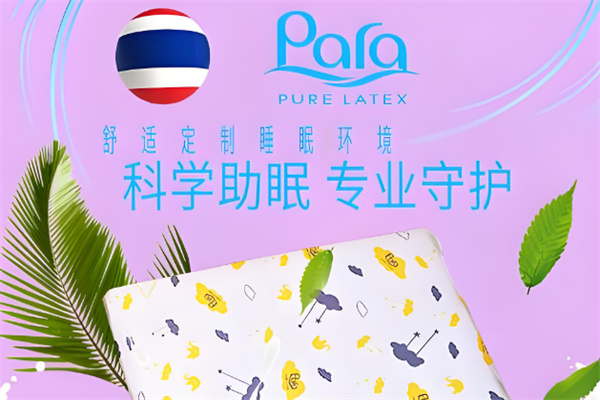 para乳胶枕