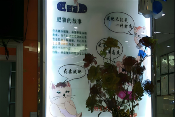 肥猫减肥
