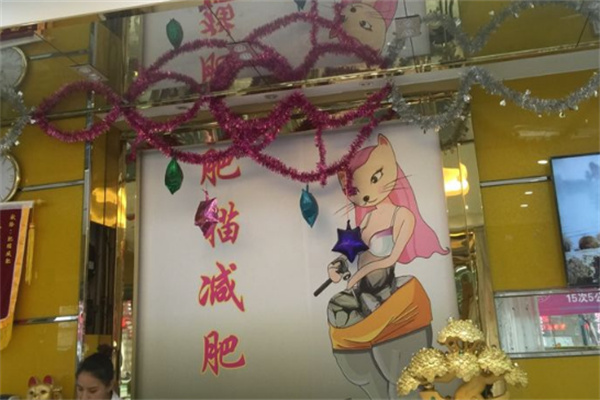 肥猫减肥