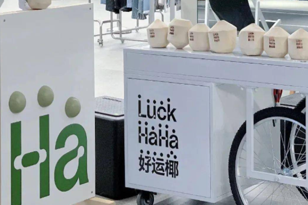 好运椰