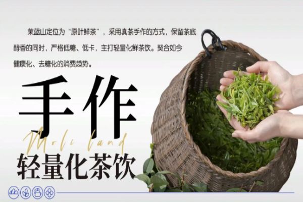 茉蓝山加盟