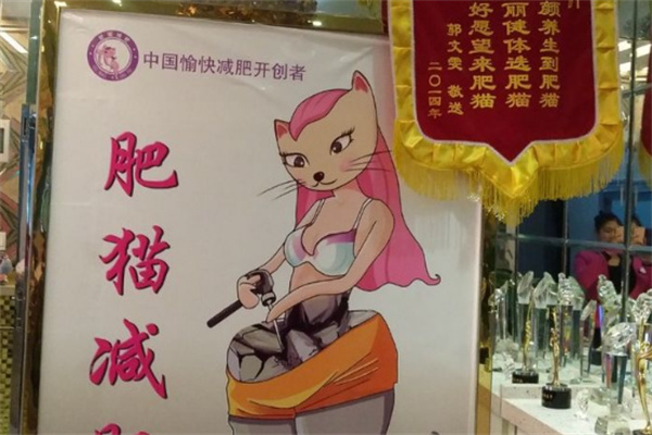 肥猫减肥