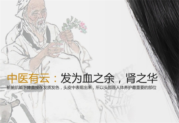 首赞臣头疗养生加盟
