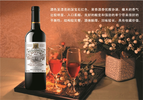 龙珠葡萄酒加盟