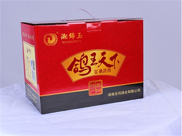 全民鸽业