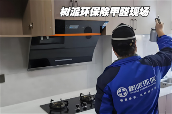 树派甲醛治理