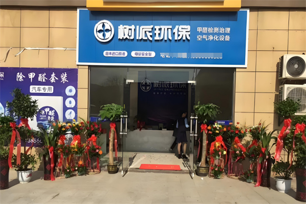 树派甲醛治理