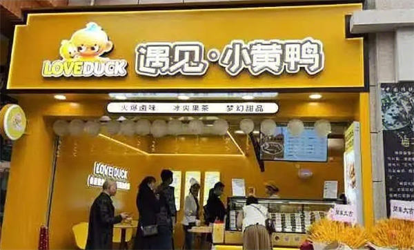 遇见小黄鸭